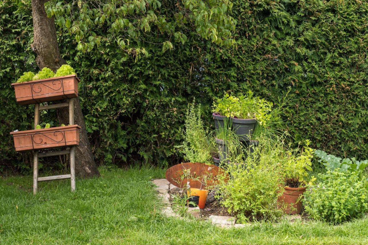 Ferienwohnung Zobl Füssen Εξωτερικό φωτογραφία